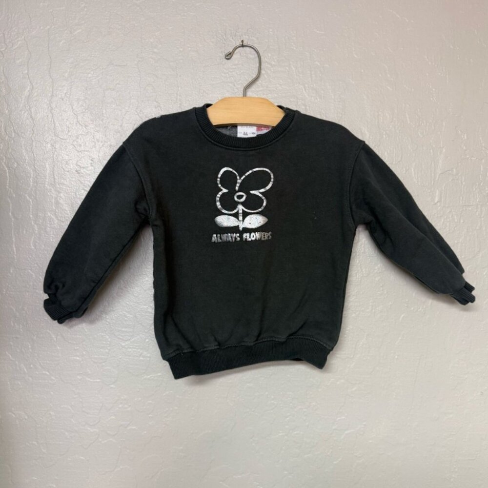 $17 ADD ON Zara sweatshirt metallic graphic Janie and Jack Baby Gap Mini Boden